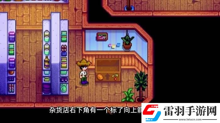 星露谷物語皮埃爾雜貨店介紹