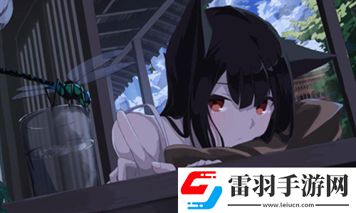 液體收集器系統HH的安裝指南