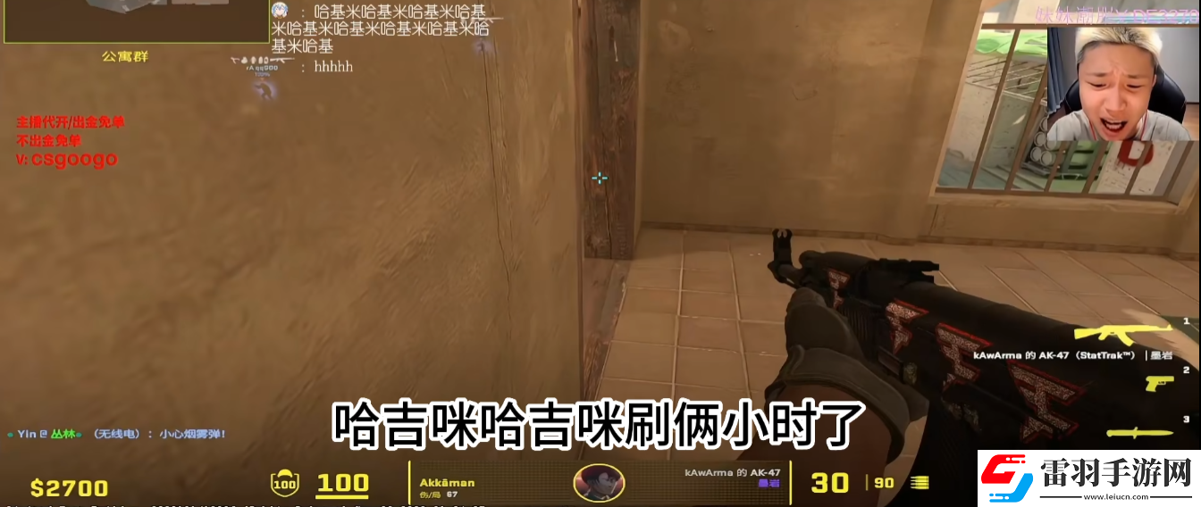 哈基米csgo什么意思