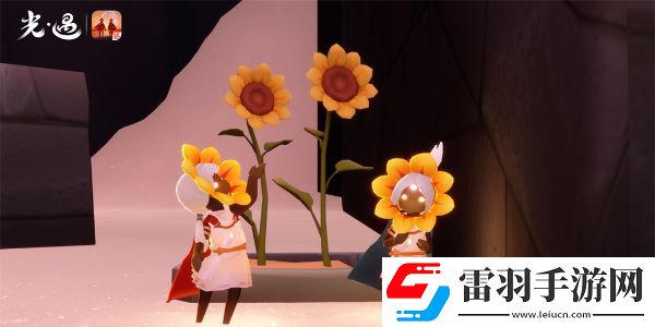 光遇運動會什么時候開始