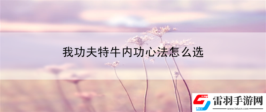 我功夫特牛內功心法怎么選