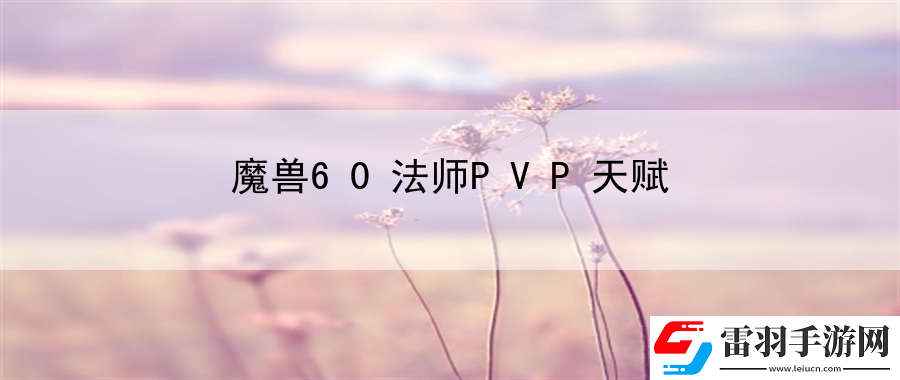 魔獸60法師PVP天賦