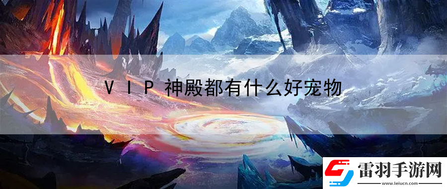 VIP神殿都有什么好寵物