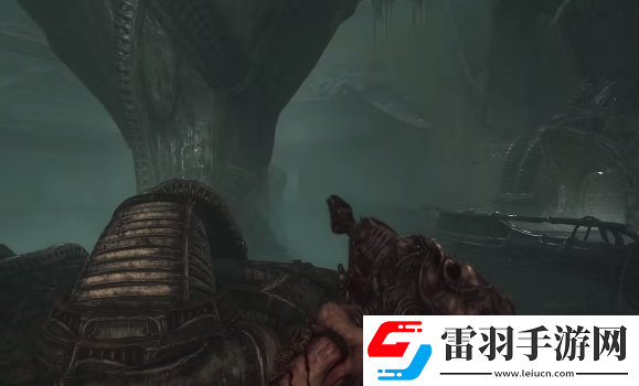 蔑視血肉武器有哪些