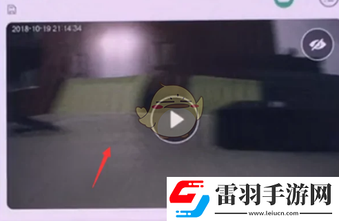 樂橙怎么看回放