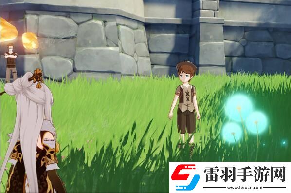 原神蒲公英籽位置圖