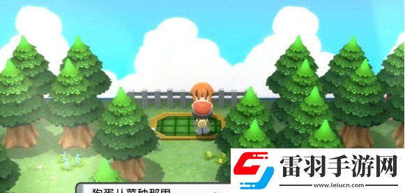 口袋妖怪珍珠復刻自行車獲得玩法