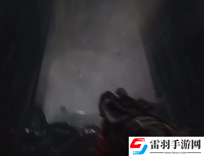 蔑視血肉武器有哪些