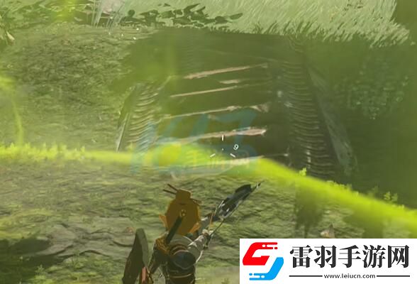 塞爾達(dá)傳說王國之淚身體纖長的守護(hù)龍任務(wù)怎么做