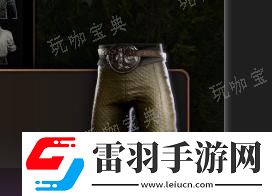 博德之門3萊埃澤爾的衣物介紹