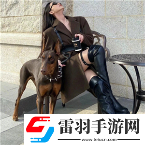 B站刺激戰場直播視頻怎么看