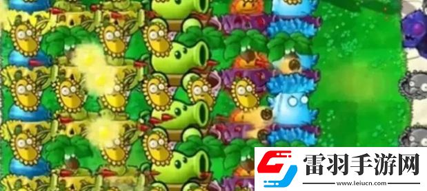 植物大戰僵尸雜交版陣容推薦詳情