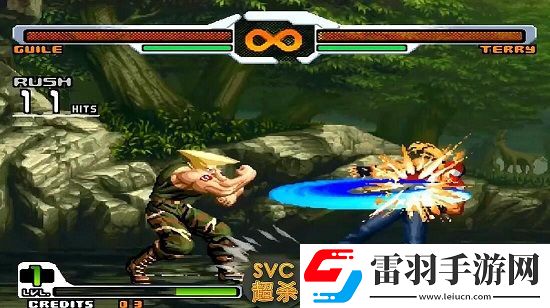 拳皇vs街霸全人物出招表