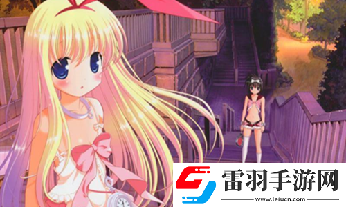 三葉草m碼和歐洲碼的對比