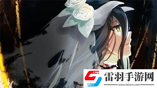 成品網站5668入口的功能介紹