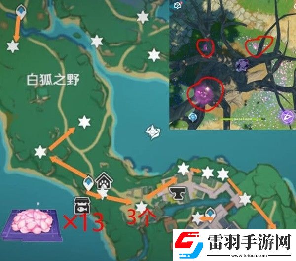 原神神里綾華突破材料緋櫻繡球采集路線一覽