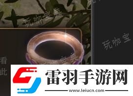 博德之門3銅戒指介紹