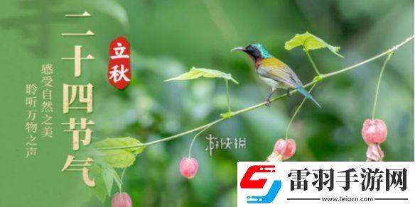 立秋節(jié)氣的含義是什么意思