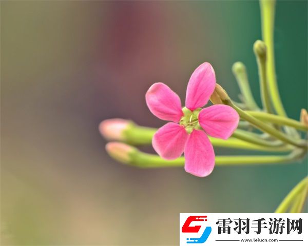 王者榮耀姬小滿張嘴流眼淚圖