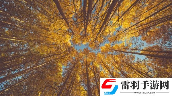 麻豆精產三產最簡單處理方法