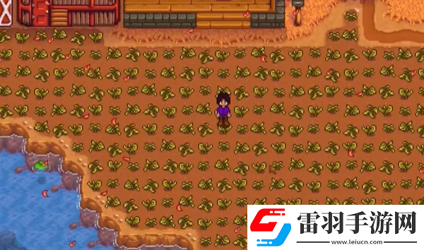 星露谷物語春天怎么保地