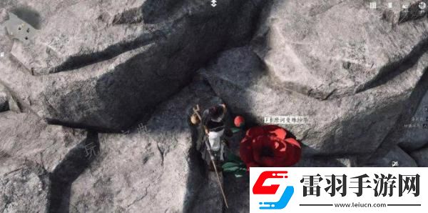 燕云十六聲花中愿怎么做