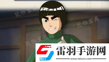 火影忍者終極風暴羈絆李洛克