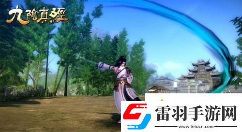 九陰真經(jīng)胡家刀法如何使用