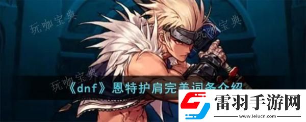 dnf恩特護(hù)肩完美詞條如何樣
