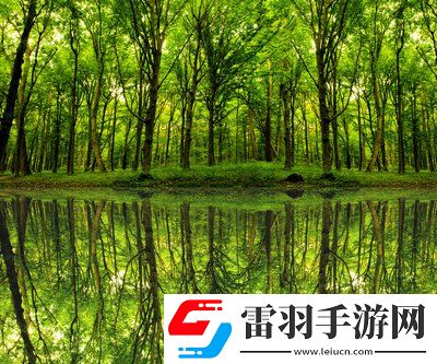 單身男女觀看免費完整版：在愛與孤獨之間，讓你感受不一樣的心動時刻！