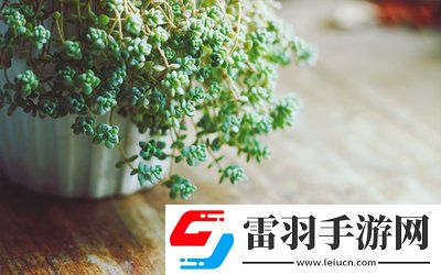 校園pop1n高中多場地文，青春無敵,網友：帶你走進多場地高中的精彩紛呈！