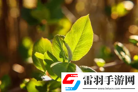 校園pop1n高中多場地文：學子齊聚校園pop1n，領略青春的多彩演繹，開啟無限可能！