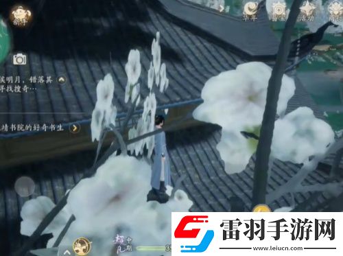 射雕梅塢搜奇寶藏圖全收集攻略