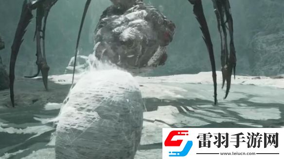 七日世界普通厄面蛛母怎么打