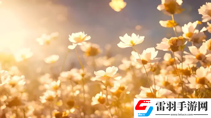 液體收集器系統HH的安裝指南：準備到調試，一步步打造高效安全的生產環境！