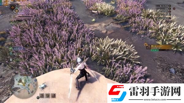 怪物獵人世界畫質(zhì)幀數(shù)提高設(shè)置