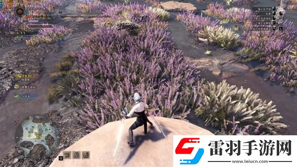 怪物獵人世界畫質(zhì)幀數(shù)提高設(shè)置