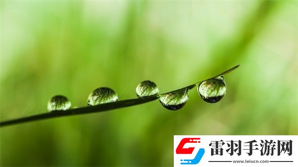 麻豆產國品一二三產品區別