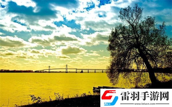 成品網站1688入門