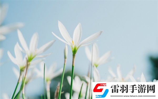 開船荷爾蒙爆發(fā)原聲視頻