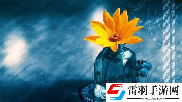 可不可以干濕你最火的一句