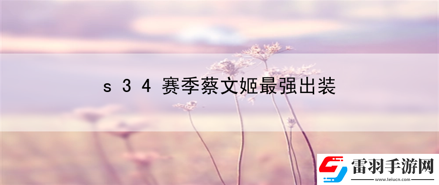 s34賽季蔡文姬最強出裝