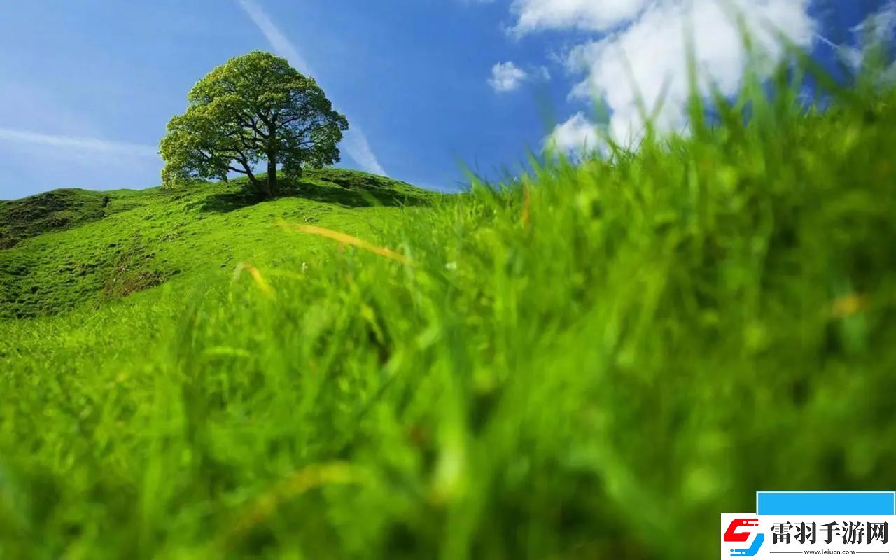 野外一面膜上邊一面膜下邊