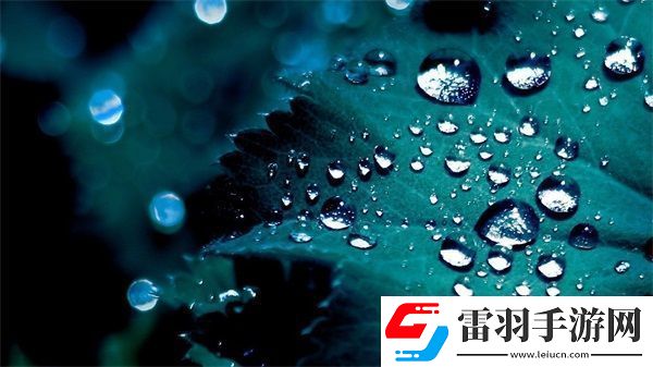 廚房一路干到臥室最簡單處理方法