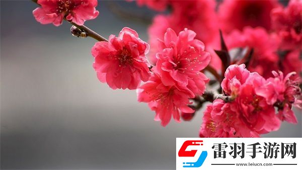 久產九人力資源有限公司豐沛有魚