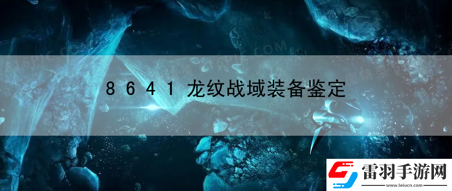 8641龍紋戰域裝備鑒定