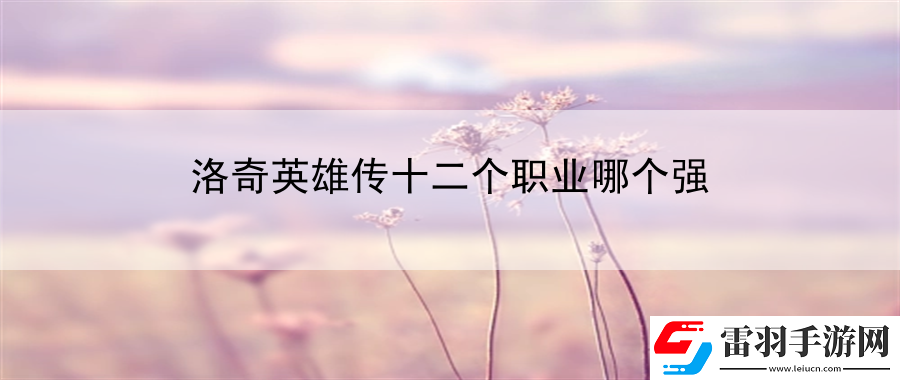 洛奇英雄傳十二個職業哪個強