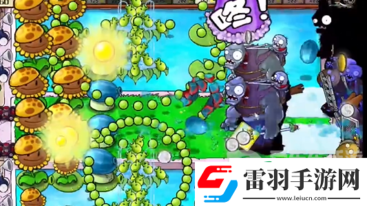 植物大戰僵尸雜交版冒險模式第十七關怎么過