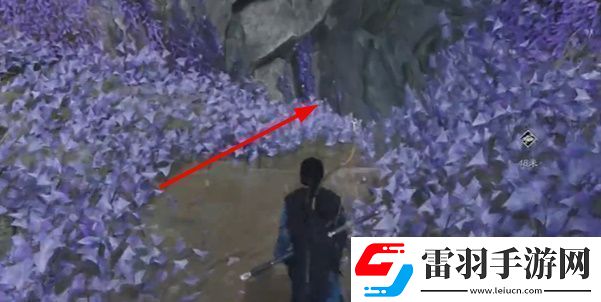 燕云十六聲慈心鎮(zhèn)不平事無間之地任務(wù)怎么完成