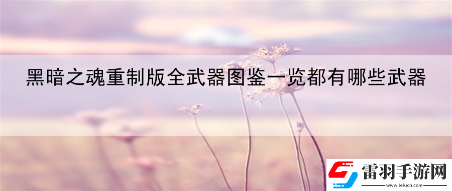 黑暗之魂重制版全武器圖鑒一覽都有哪些武器